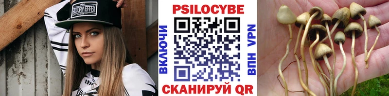 Псилоцибиновые грибы Magic Shrooms  магазин    Менделеевск 